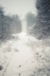 Deutschland, Baden Württemberg, Vaihingen, schneebedeckte Landschaft mit Bäumen und Schienen - SBD000941