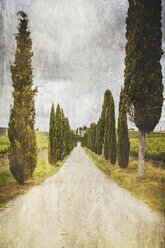 Italien, Toskana, Chianti-Gebiet, Blick auf eine von Zypressen gesäumte Straße - SBD000943