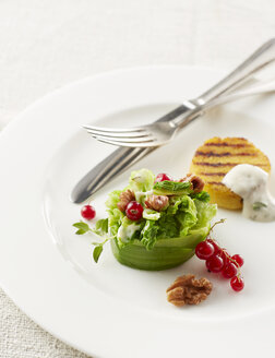 Kartoffelpuffer mit Salat auf dem Teller - KSWF001317