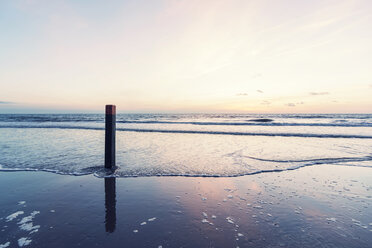 Niederlande, Ouddorp, Holzpfahl im Meer - PAF000727