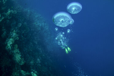 Ozeanien, Palau, Taucher am Korallenriff mit Luftblasen im Vordergrund - JWAF000151
