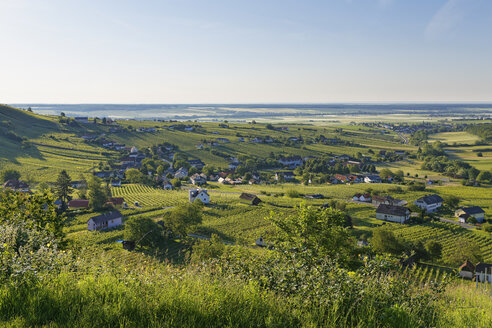 Österreich, Burgenland, Bezirk Oberwart, Eisenberg an der Pinka, Weingut - SIEF005582