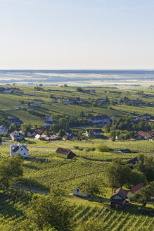 Österreich, Burgenland, Bezirk Oberwart, Eisenberg an der Pinka, Weinberge - SIEF005583