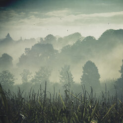 Deutschland, Hügellandschaft im Nebel - DWI000111