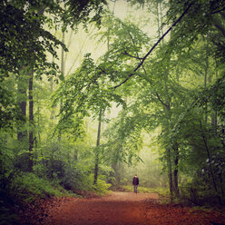 Deutschland, Mann geht im Wald spazieren - DWI000119