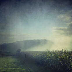 Jogger running in misty landscape at sunrise - DWI000123