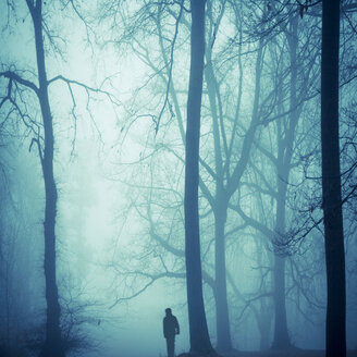 Silhouette eines Mannes im nebligen Wald bei Gegenlicht - DWI000124