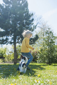 Junge spielt mit Jack Russel Terrier Welpe im Garten - MJF001303