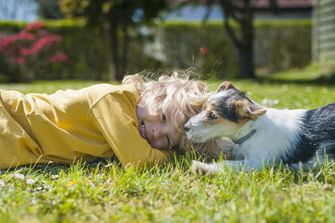 Junge spielt mit Jack Russel Terrier Welpe im Garten, lizenzfreies Stockfoto