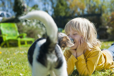 Junge spielt mit Jack Russel Terrier Welpe im Garten - MJF001306