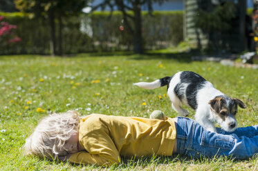 Junge spielt mit Jack Russel Terrier Welpe im Garten - MJF001311