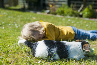 Junge spielt mit Jack Russel Terrier Welpe im Garten - MJF001312