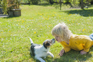 Junge spielt mit Jack Russel Terrier Welpe im Garten - MJF001315