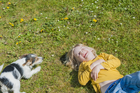 Junge spielt mit Jack Russel Terrier Welpe im Garten, lizenzfreies Stockfoto