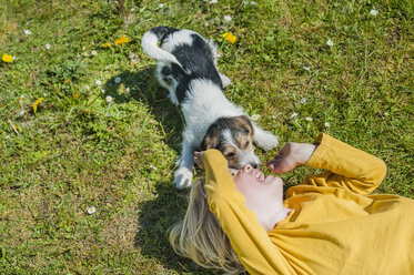 Junge spielt mit Jack Russel Terrier Welpe im Garten - MJF001318