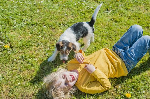 Junge spielt mit Jack Russel Terrier Welpe im Garten - MJF001319