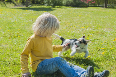 Junge spielt mit Jack Russel Terrier Welpe im Garten - MJF001320