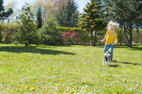 Junge spielt mit Jack Russel Terrier Welpe im Garten - MJF001321