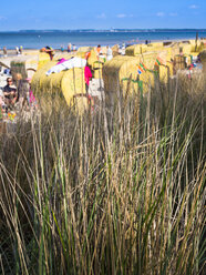 Deutschland, Schleswig-Holstein, Scharbeutz, Strandhafer und Strandkörbe am Strand - AMF002506