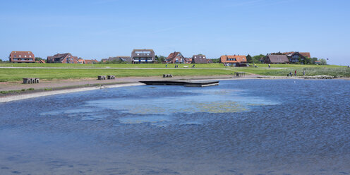 Deutschland, Niedersachsen, Ostfriesland, Insel Baltrum, Ostdorf, Teich - WIF000880