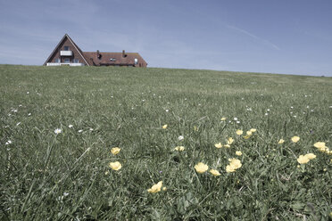 Deutschland, Niedersachsen, Baltrum, Wohnhaus mit Frühlingswiese im Vordergund - WI000887