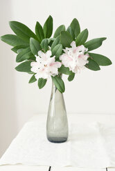 Rhododendron in Vase - ECF000675