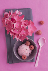 Raspberry icecream with poppy seed and flower - ECF000697