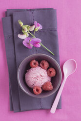 Raspberry icecream with poppy seed and flower - ECF000698