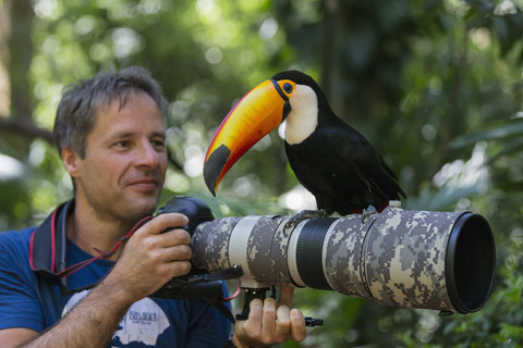 Brasilien, Mato Grosso, Mato grosso do Sul, Gewöhnlicher Tukan, Ramphastos toco, sitzt auf der Kamera eines Fotografen, lizenzfreies Stockfoto