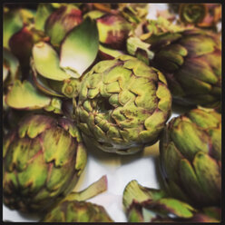 Artichokes - GWF002901