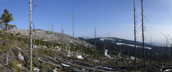 Deutschland, Bayern, Niederbayern, Bayerischer Wald, Dreisesselgebiet, Blick vom Tripoint, Panorama - LB000810