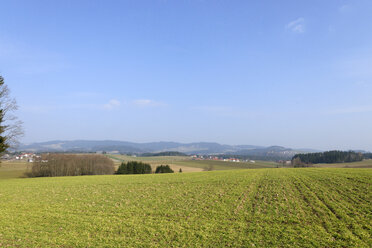 Österreich, Oberösterreich, Bezirk Rohrbach, Oberes Mühlviertel, Felder am Großmollsberg, Naturschutzgebiet Donauleiten - LB000812