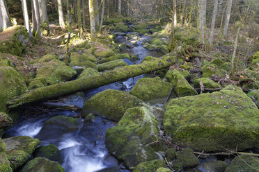 Germany, Bavaria, Lower Bavaria, Bavarian Forest, Saussbach gorge - LB000779