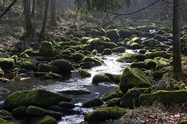 Deutschland, Bayern, Niederbayern, Bayerischer Wald, Waldkirchen, Saussbachschlucht - LB000782