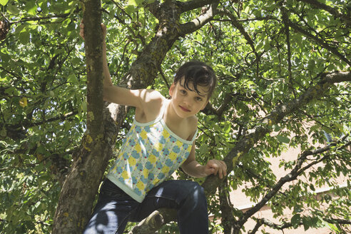 Porträt eines kleinen Mädchens, das auf einen Baum klettert - LVF001591
