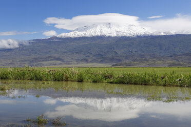 Türkei, Ostanatolien, Provinz Agri, Blick auf den Berg Ararat - SIE005648