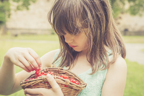Kleines Mädchen hält Korb mit roten Johannisbeeren - LVF001621