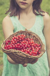 Kleines Mädchen hält Korb mit roten Johannisbeeren, Teilansicht - LVF001622