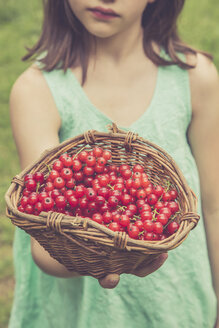 Kleines Mädchen hält Korb mit roten Johannisbeeren, Teilansicht - LVF001622