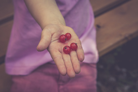 Die Handfläche eines kleinen Mädchens hält vier rote Johannisbeeren, lizenzfreies Stockfoto