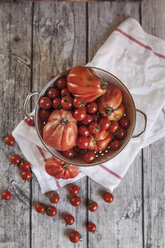 Oxheart tomatoes and cherry tomatoes - SBDF000993