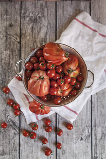 Ochsenherz-Tomaten und Kirschtomaten - SBDF000993