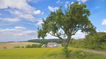 Deutschland, Hessen, Huenstetten, Blick auf Landschaft und Schloss Hühnerkirche - MHF000319