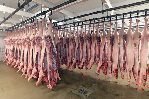Schweinehälften im Kühlhaus eines Schlachthofs - LYF000191