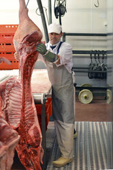 Processing of pig carcasses in a slaughterhouse - LYF000194