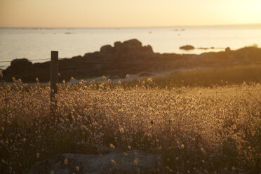 Frankreich, Bretagne, Finistere, Küste von Trevignon am Abend - DHL000472