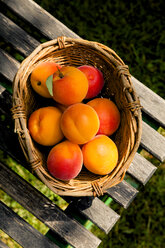 Germany, Baden-Wuerttemberg, Apricots in a basket, Prunus Armeniaca - LVF001645