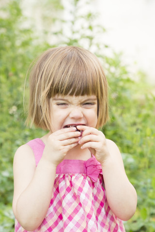 Portrait of little girl eating cherry stock photo