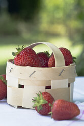 Frische Erdbeeren in einem Korb - ASF005445