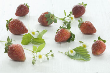 Fresh strawberries on white wood - ASF005450
